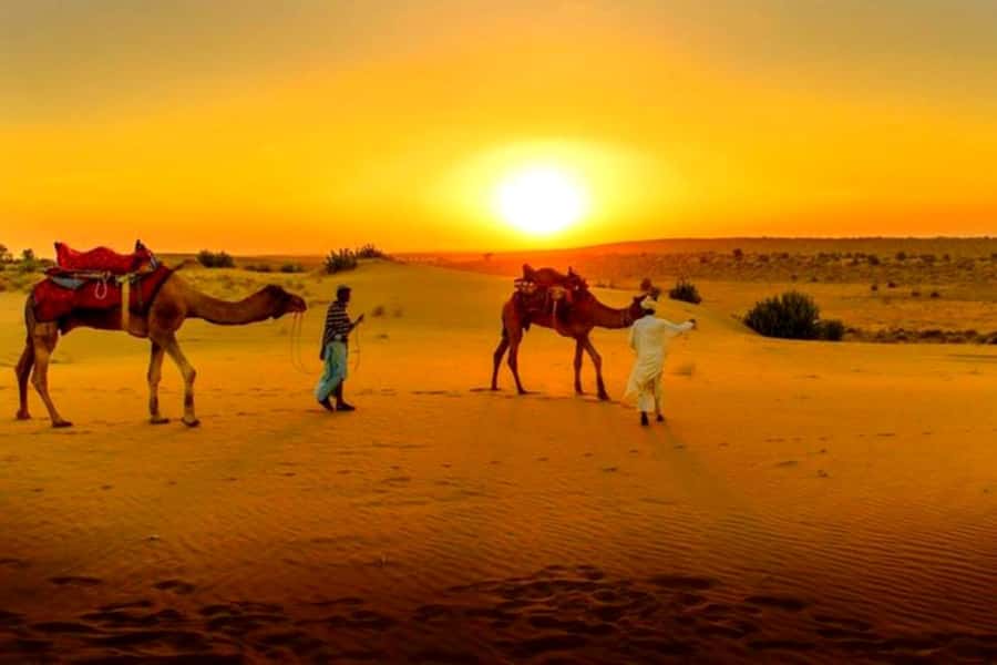From Marrakech : Agafay Desert Sunset Dinner with Camel Ride - Berber music and the fire show