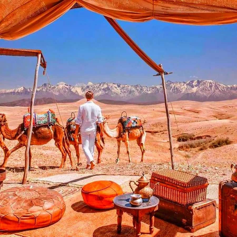 From Marrakech: Agafay Desert Sunset Dinner with Live Show - Key points to know before you book