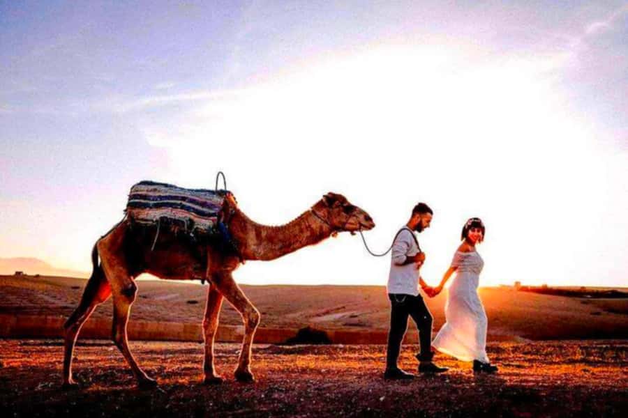 From Marrakech: Agafay Desert Sunset Dinner with Live Show - What dinner is really like