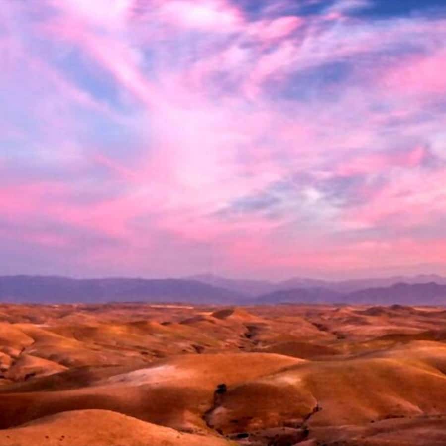 From Marrakech: Agafay Desert Sunset Dinner with Live Show - Who should book this evening?