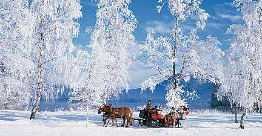 From Salzburg Romantic Carriage Ride through the Countryside - Why Lake Wolfgang and St Wolfgang make the trip worthwhile