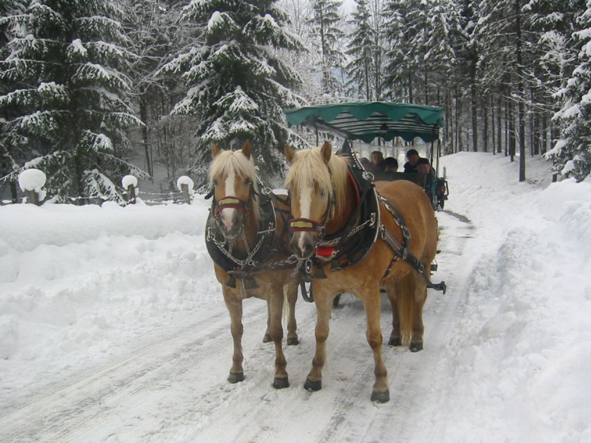 From Salzburg Romantic Carriage Ride through the Countryside - A four-hour schedule with room for local commentary