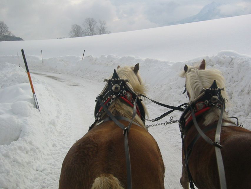 From Salzburg Romantic Carriage Ride through the Countryside - How the weather changes the experience