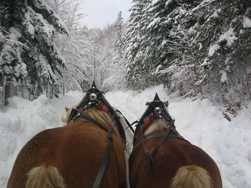 From Salzburg Romantic Carriage Ride through the Countryside - Who will enjoy this outing most