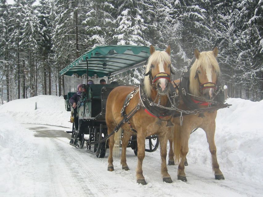 From Salzburg Romantic Carriage Ride through the Countryside - Should you book the Salzburg carriage ride?