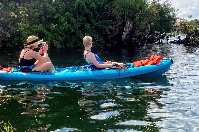 Full Day Tandem Kayak Rental For Two People In Crystal River, Florida - Why Crystal River works so well by kayak