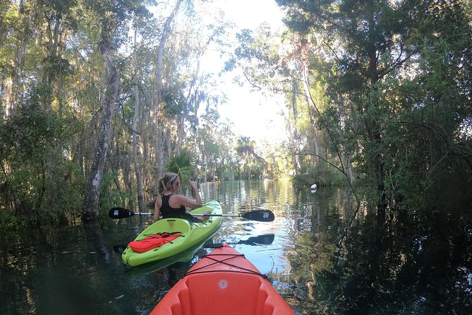 Full Day Tandem Kayak Rental For Two People In Crystal River, Florida - Swimming rules from November 15 through March 31