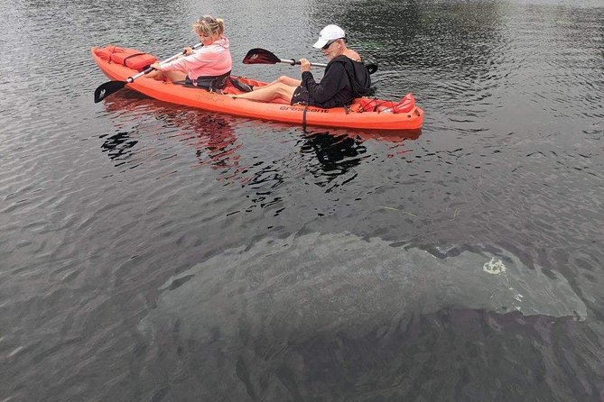 Full Day Tandem Kayak Rental For Two People In Crystal River, Florida - Check-in at 1 SW 1st Place