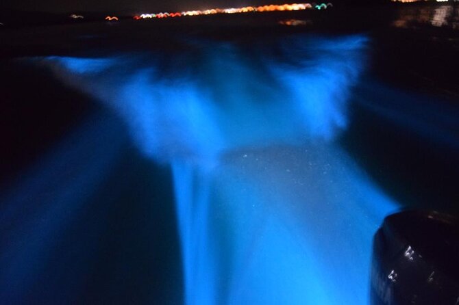 Glow with the Flow: A Romantic Night at the Luminous Lagoon”) - Why the Luminous Lagoon is worth seeing at night