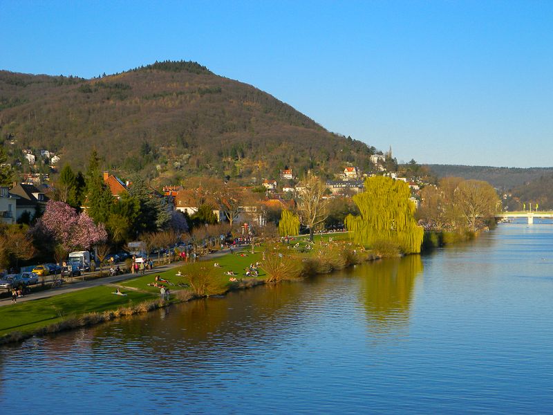 Heidelberg: City of Romance 2-Hour Walking Tour - Who will get the most from this walk