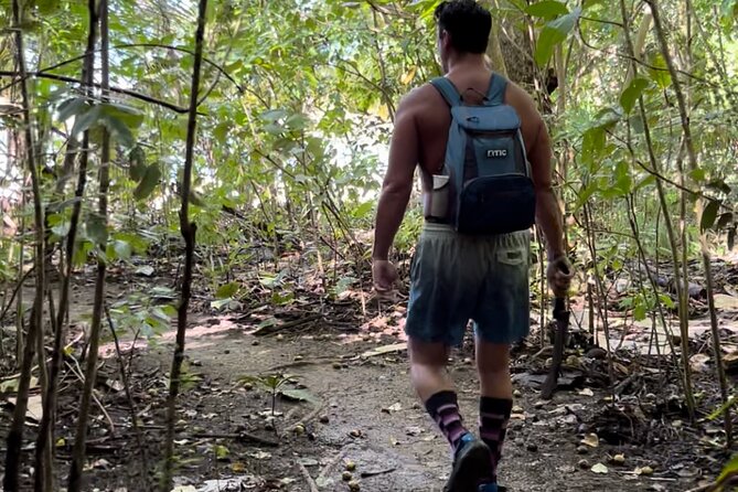 Honeymoon Beach Eco Hike and Snorkel - Walking Lind Pt Trail with a local guide