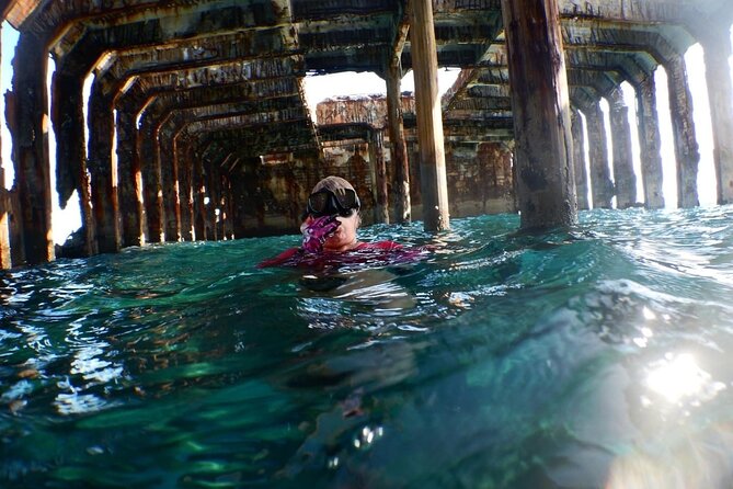 Honeymoon Harbour and The Sapona Day Trip - Honeymoon Harbour: three hours with stingrays and sharks