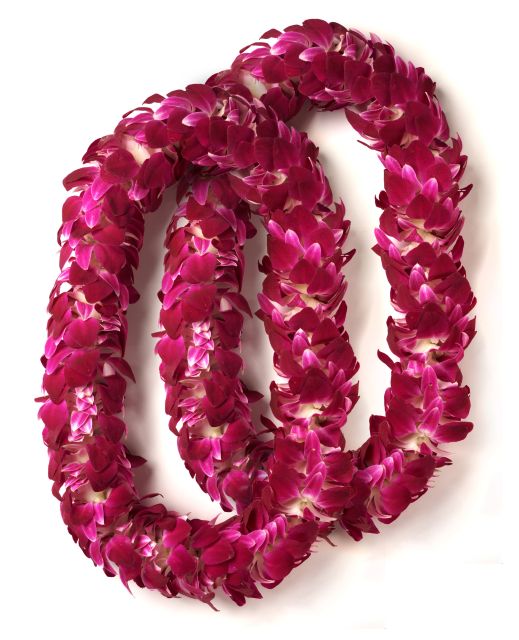 Honolulu Honeymoon Airport Lei Greeting - FAQ