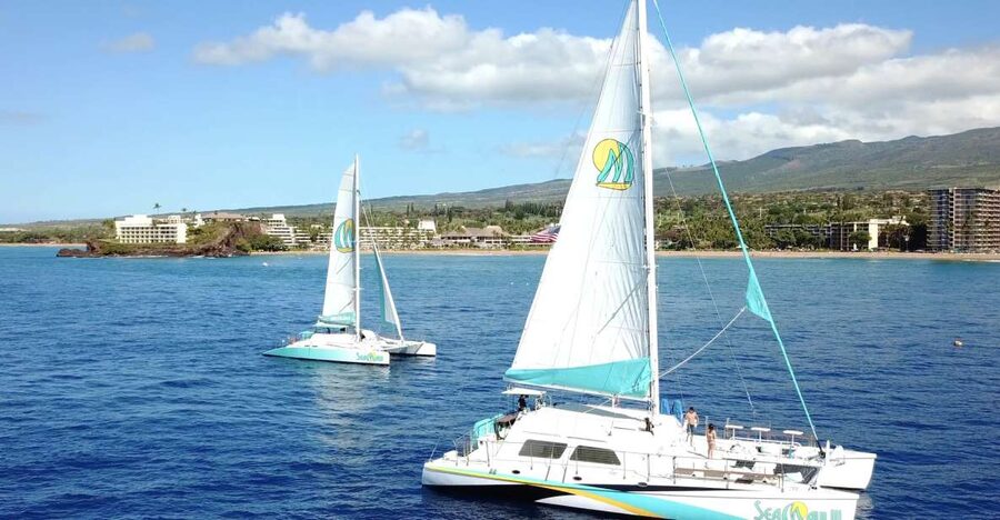Kaanapali: Sunset Dinner Catamaran Cruise With Drinks - Who will enjoy this cruise most?