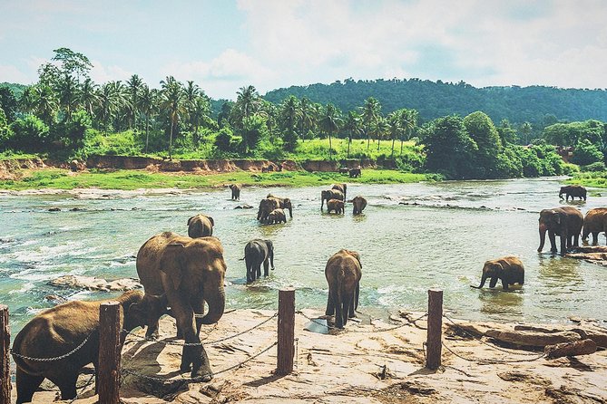 Kandy city tour for couple price - What $75 buys two people in Kandy
