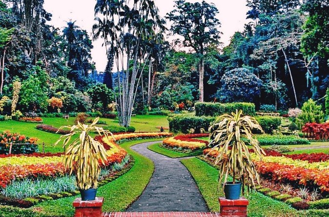 Kandy city tour for couple price - Spice Gallery: twenty minutes of herbs and shopping