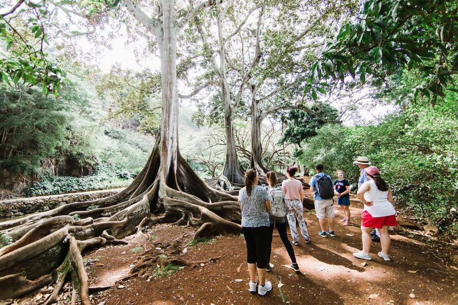 Kauai: Allerton Garden and Estate Tour with Sunset Dinner - Is the $106 Price Fair?