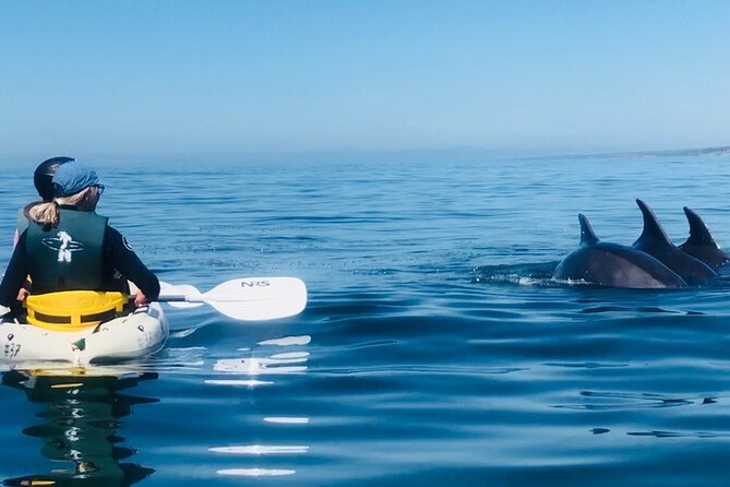 Kayak Rental for Two People in La Jolla - Equipment, wetsuits, and lockers