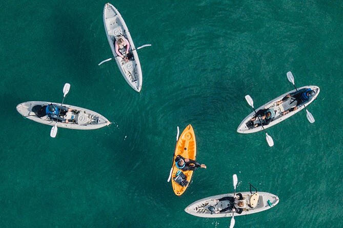 Kayak Rental for Two People in La Jolla - Watching for seals, sea lions, birds, and dolphins