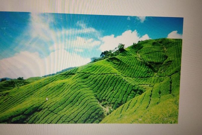 Kerala Honeymoon Package - A compact Kerala honeymoon from Kochi