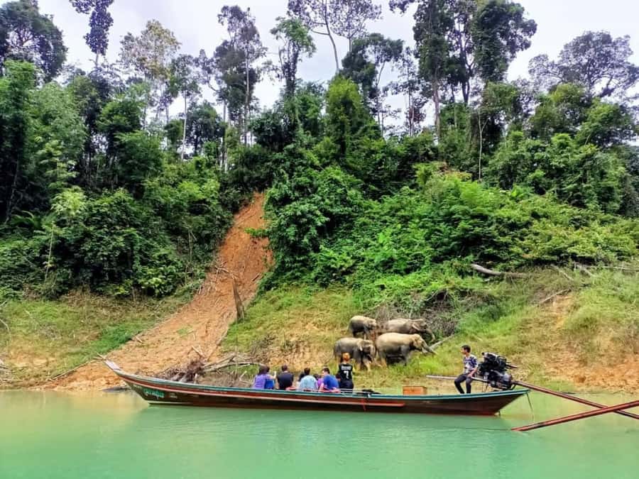 Khao Lak: Cheow Lan Lake Romantic Sunset Cruise with Drinks - Key points to know before booking