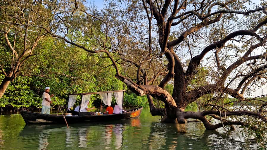 Koh Lanta: Romantic Sunrise Private Gondola Tour - Macaques, mudskippers, and birds