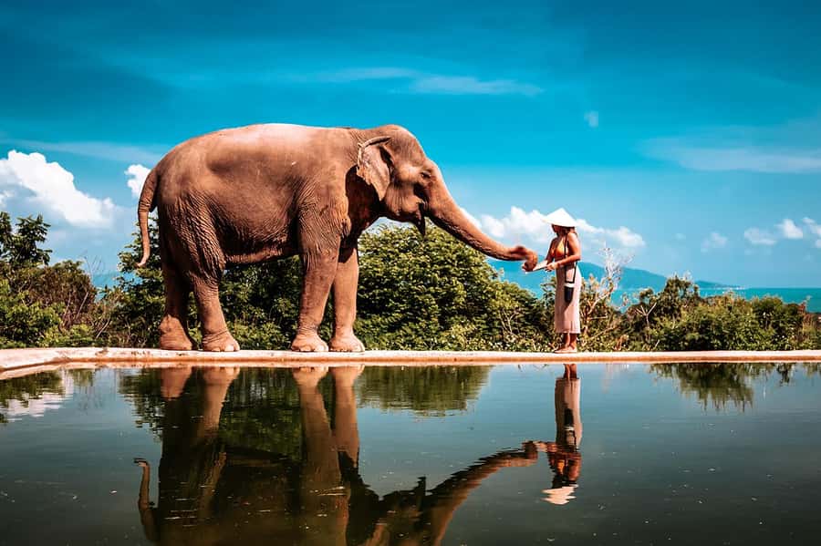Koh Samui: Private Photoshoot for Couples & Families - Why a Koh Samui photoshoot can be worth it