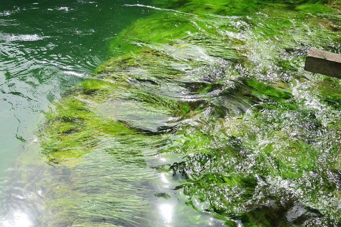 Krka waterfalls luxury tour for singles or couples - A farm lunch at Agroturizam Anin Dvor