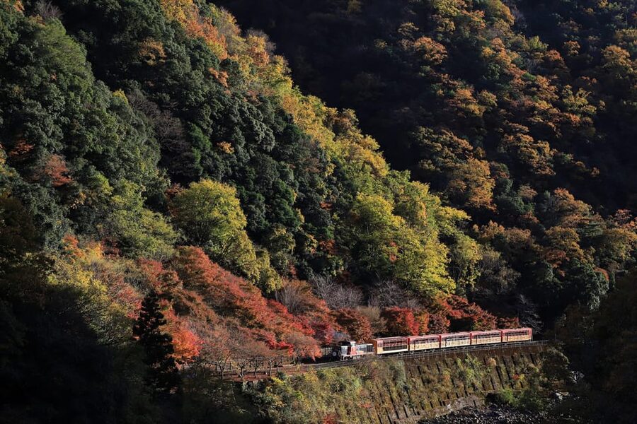 Kyoto: Arashiyama Tour with optional Sagano Romantic Train - Mikami Shrine and the God of Hair
