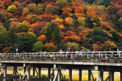Arashiyama Tour with optional Sagano Romantic Train