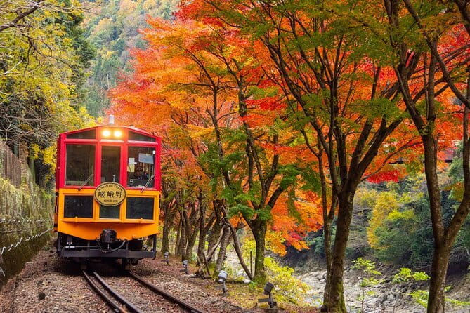 Kyoto Sagano Romantic Train in Arashiyama Bus Tour - The Sagano Romantic Train in 25 minutes