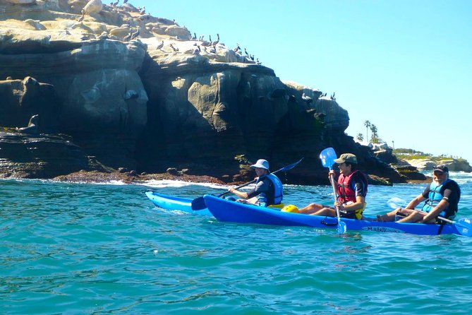 La Jolla Sea Caves Kayak Tour For Two (Tandem Kayak) - Paddling along La Jolla Shores