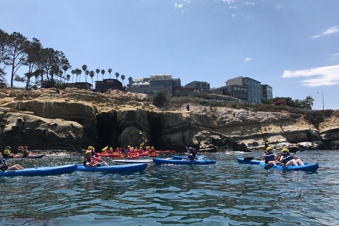 La Jolla Sea Caves Kayak Tour For Two (Tandem Kayak) - Wildlife in the Ecological Reserve
