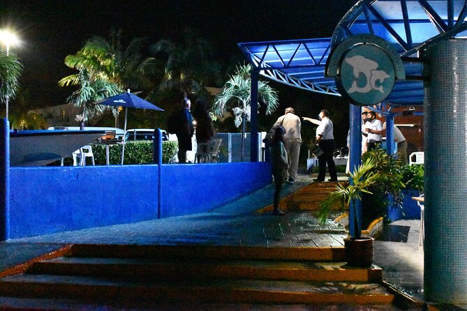 Live a Romantic Night Cruise Dinner at COLUMBUS (open bar included) - Dinner choices: rib eye, lobster, and vegetarian plates