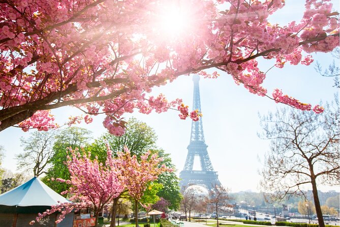 Live, Laugh, Love Along the Seine: Self-Guided Romantic Tour - Saint-Germain-des-Prés and the old coffeehouse story
