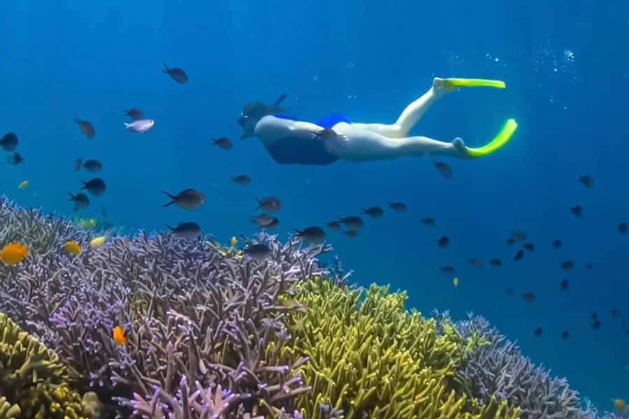 Lombok: Romantic Island Escape—Gili Nanggu, Sudak & Kedis - Is $62 a fair price?