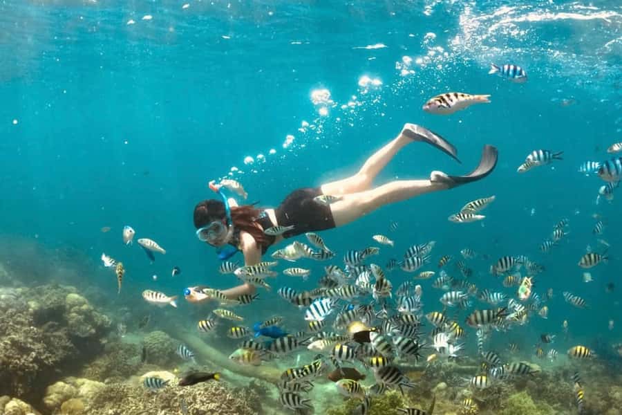 Lombok: Romantic Island Escape—Gili Nanggu, Sudak & Kedis - Who will enjoy this island day