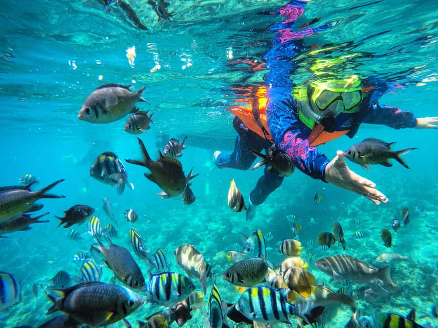 Lombok: Romantic Island Escape—Gili Nanggu, Sudak & Kedis - Gili Sudak, lunch, and beach time