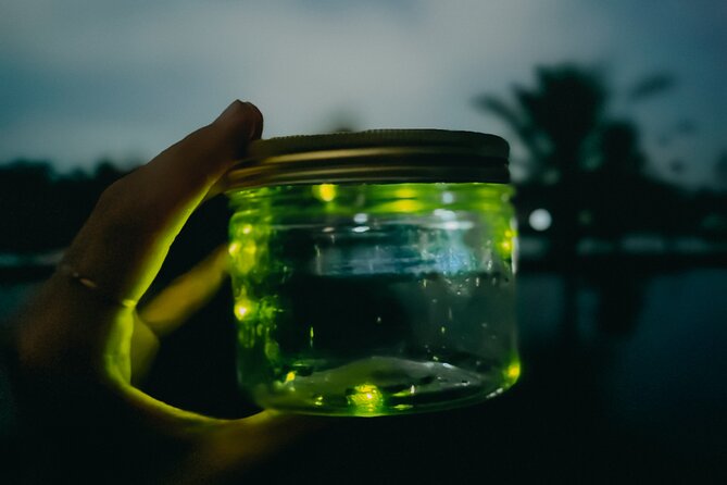 Magical Village Tour & Private Dinner with Fireflies in Bali - A two-hour evening, step by step