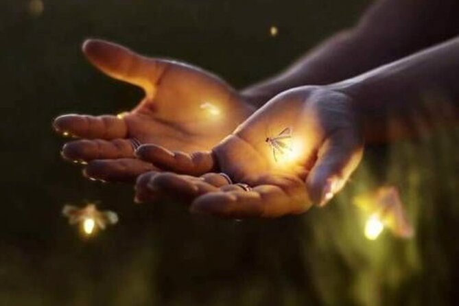 Magical Village Tour & Private Dinner with Fireflies in Bali - A village home and a window into daily life