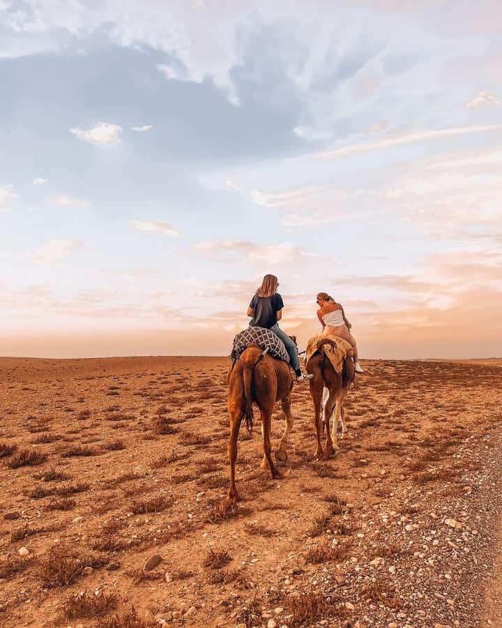 Marrakech: Agafay Desert Escape with Quad or Camel Ride - Moroccan dinner, mint tea, and the evening show