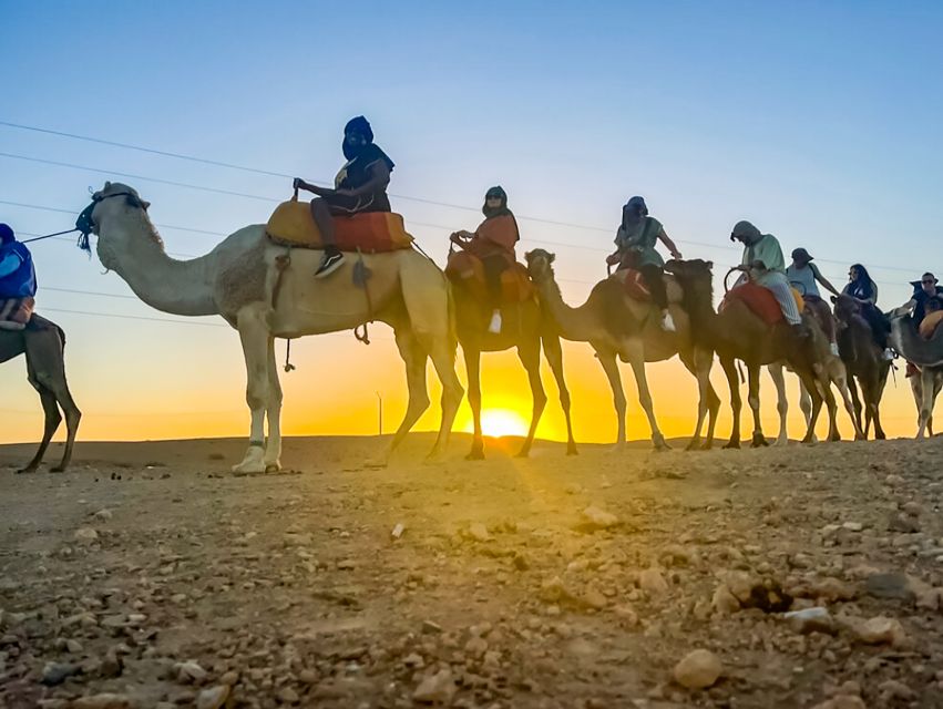 Marrakech: Agafay Desert Escape with Quad or Camel Ride - Staff and communication