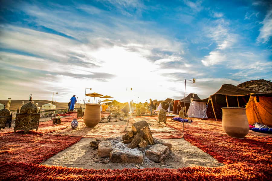 Marrakech: Agafay Desert Escape with Quad or Camel Ride - Who should book this Agafay outing?