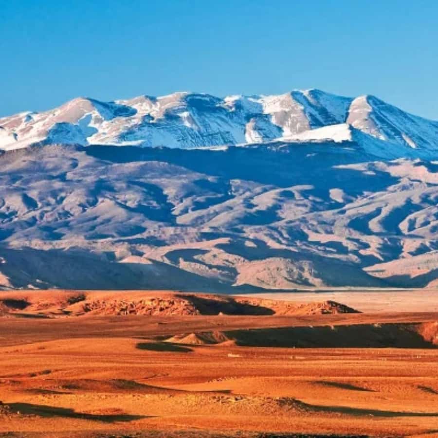 Marrakech: Camel Ride & Sunset Dinner with Fire Show - Weather is the main variable