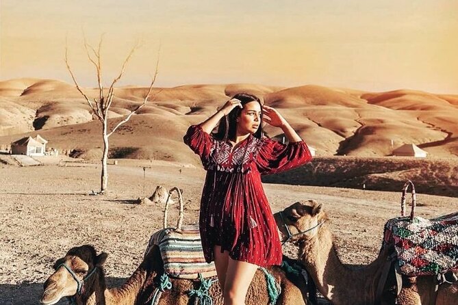 Marrakech: Sunset Dinner in Agafay Desert and camel ride - Traditional Music and a Quiet Night Sky