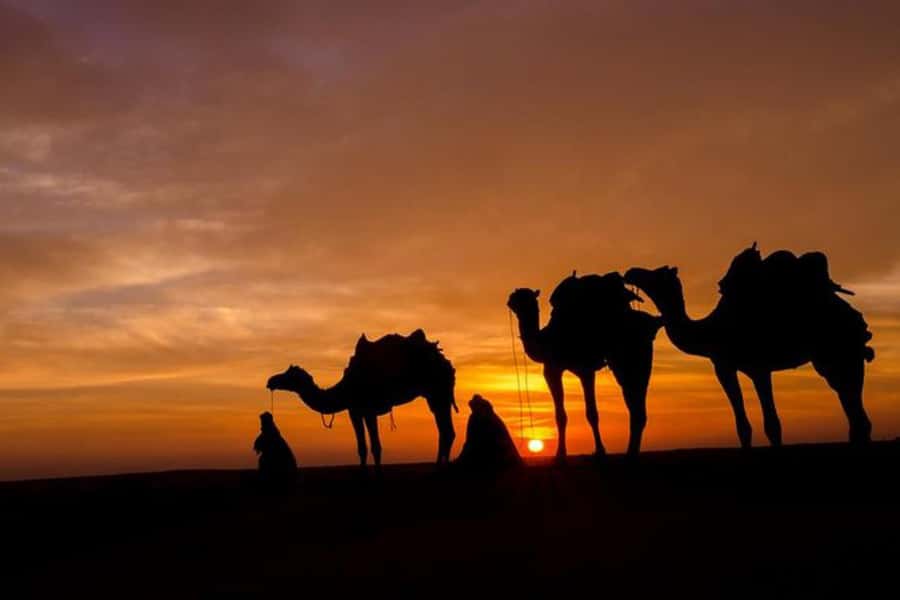 Marrakech: Sunset Dinner in Agafay Desert with Camel Ride - Dinner under the tent and around the fire