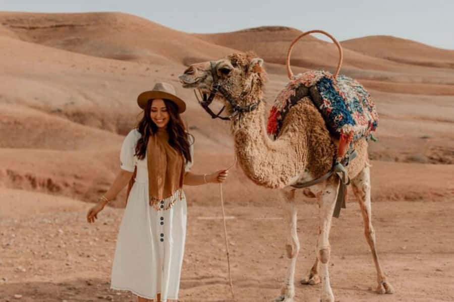 Marrakech: Sunset Dinner in Agafay Desert with Camel Ride - Who will enjoy this Agafay evening?