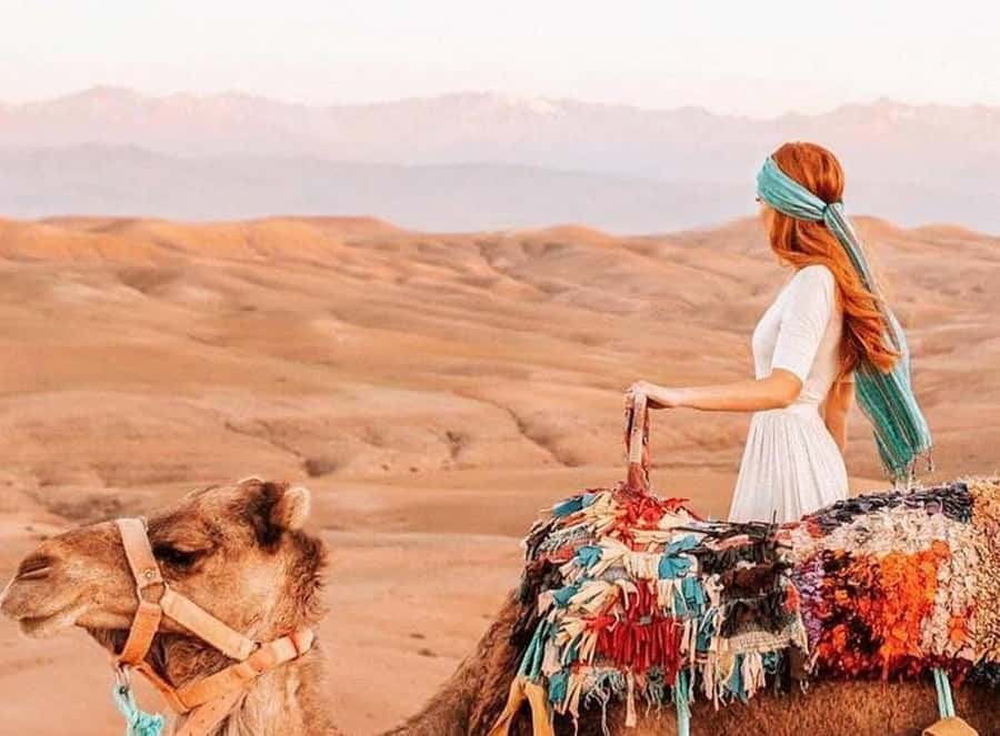 Marrakech: Sunset Dinner in Agafay Desert with Camel Ride - What happens at the argan oil cooperative