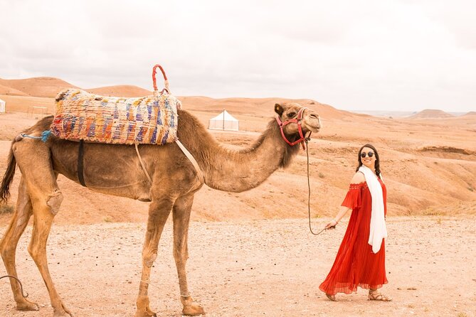 Marrakesh: Sunset Dinner in the Agafay with Show Transfers - Mint tea, low tables, and Moroccan dinner