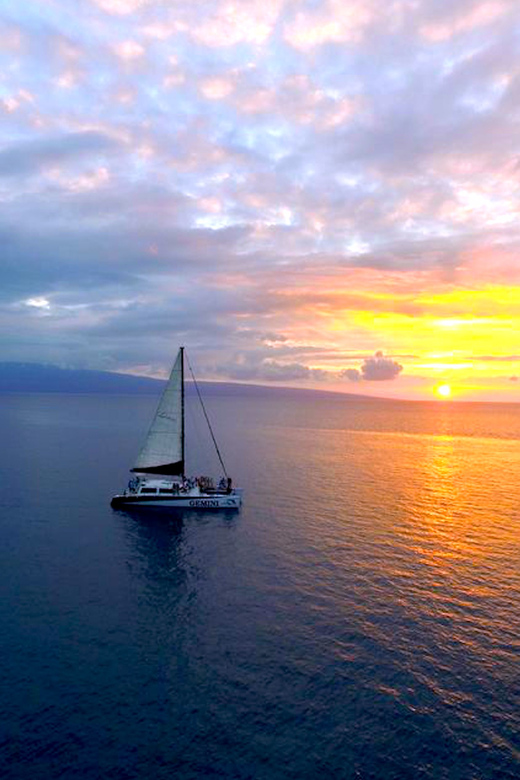 Maui: 2 Hour Sunset Dinner Sail with Open Bar and Appetizers - Practical details that make the trip easier